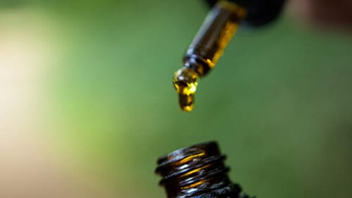 Researchers investigate CBD treatments for psychosis